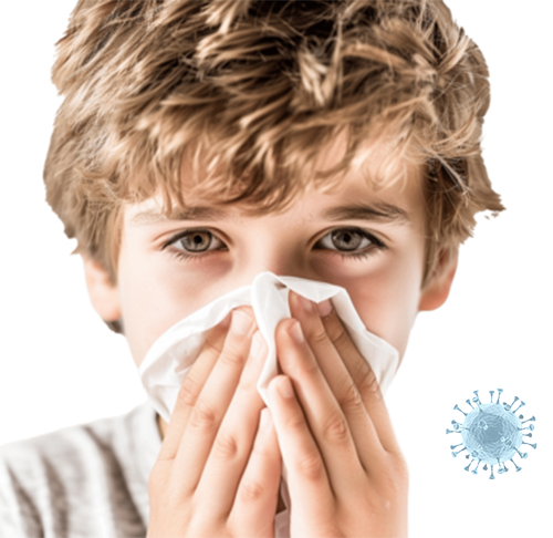 Santa Fe Eco Safe Air Duct Cleaning TX